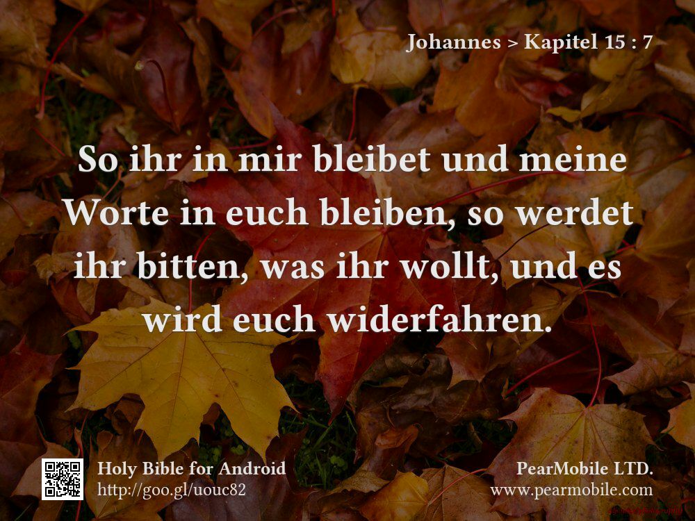 Johannes, Kapitel 15:7